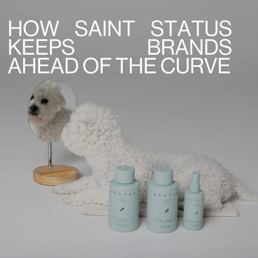 E-Commerce Trends to Watch: How SAINT STATUS Keeps Brands Ahead of the Curve